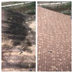 Roof Cleaning in Daytona Beach, FL